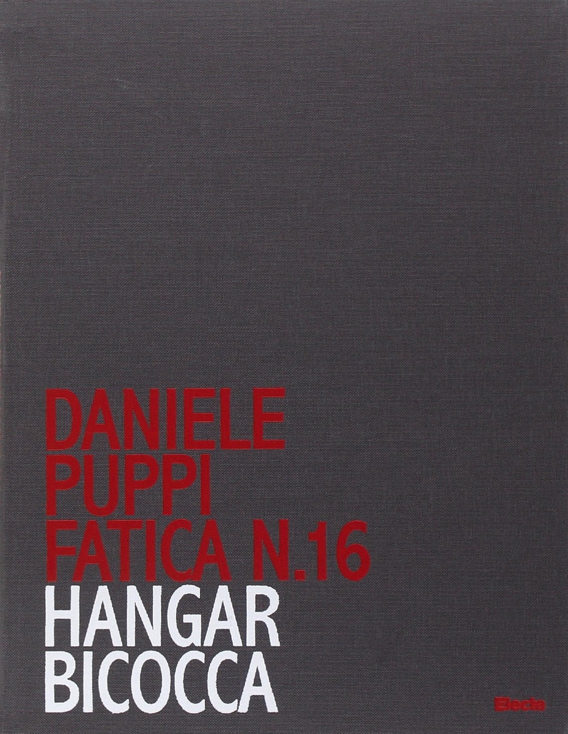 Daniele Puppi. Fatica n. 16. Hangar Bicocca Daniele Puppi. Fatica n. 16. Hangar Bicocca