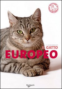 Il gatto europeo Il gatto europeo