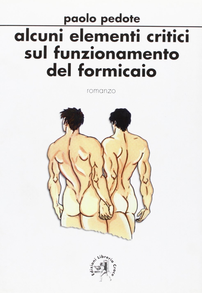 Alcuni elementi critici sul funzionamento del formicaio Alcuni elementi critici sul funzionamento del formicaio
