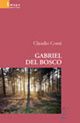 Gabriel del bosco Gabriel del bosco