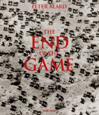 The End of the Game: The Last Word from Paradise