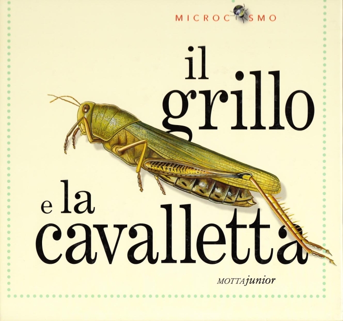 Il grillo e la cavalletta