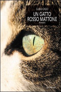 Un gatto rosso mattone. Un gatto rosso mattone.