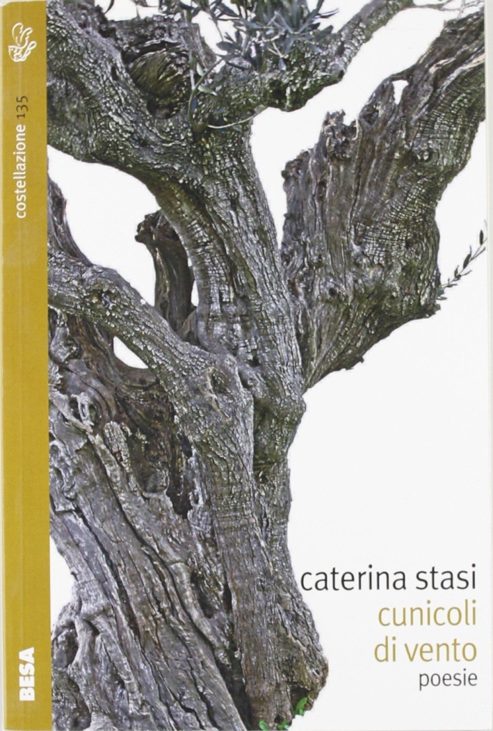 Cunicoli di vento Cunicoli di vento
