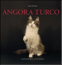 Angora turco Angora turco