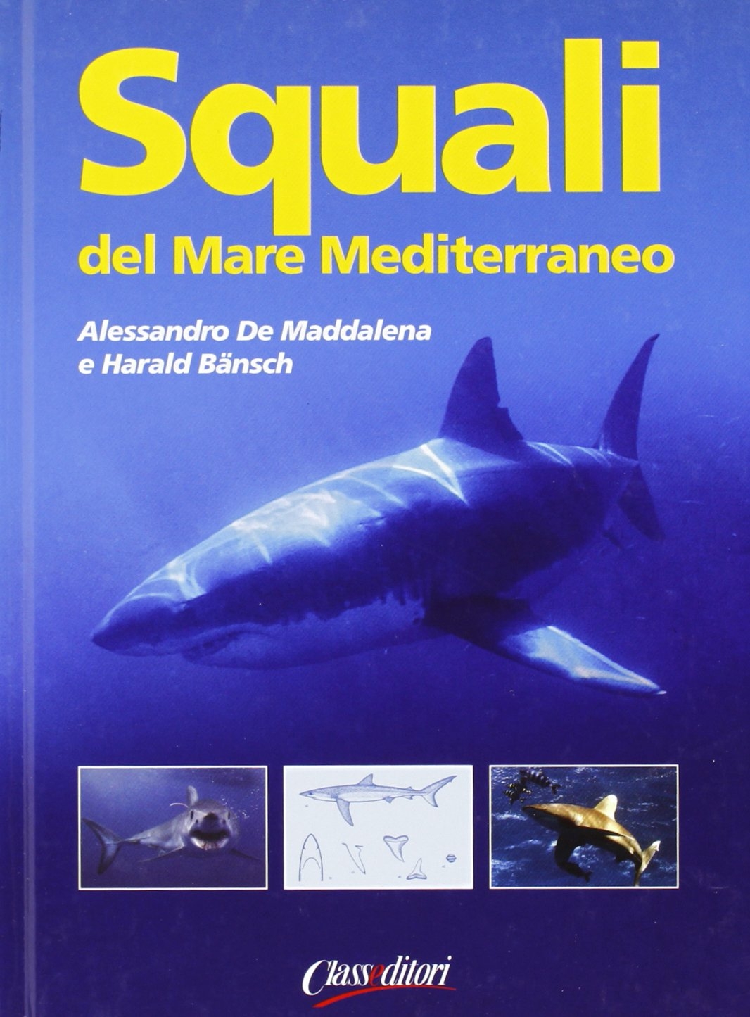 Squali del Mar Mediterraneo. Ediz. illustrata Squali del Mar Mediterraneo. Ediz. illustrata