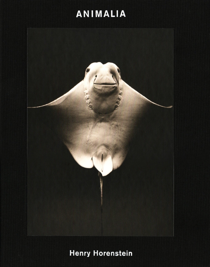 Animalia