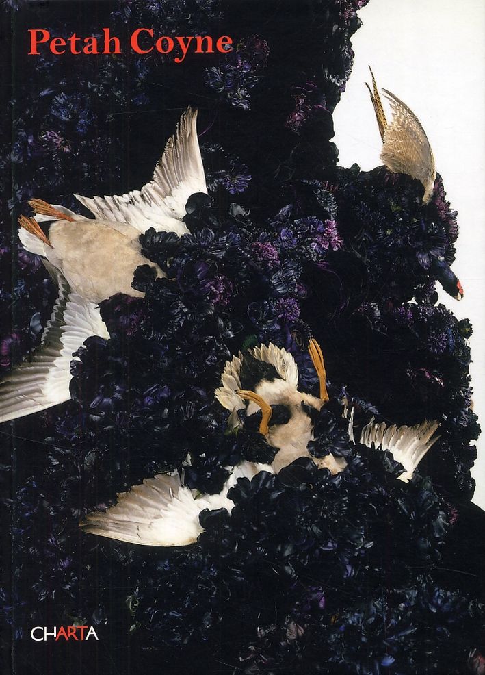 Petah Coyne. Vermilion Fog Petah Coyne. Vermilion Fog