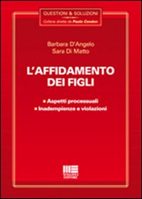 L'affidamento dei figli L'affidamento dei figli
