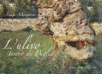 L'ulivo tesoro di Puglia