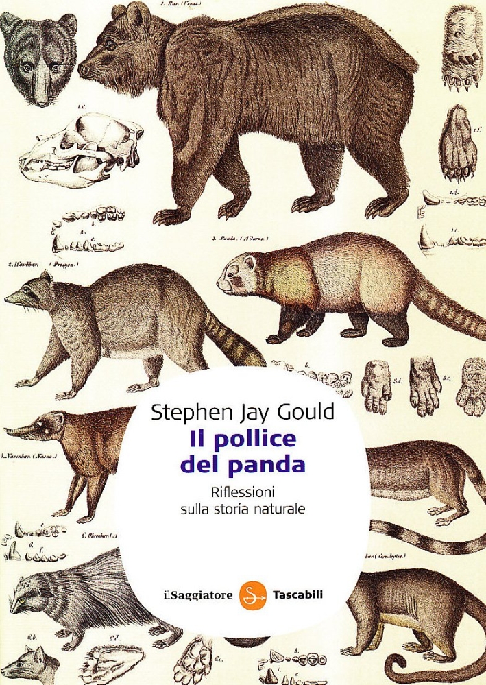 Il Pollice del Panda. Riflessioni sulla Storia Naturale Il Pollice del Panda. Riflessioni sulla Storia Naturale