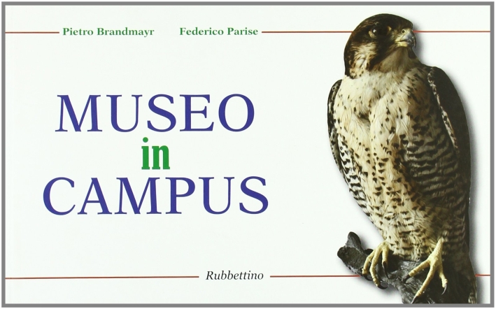Museo in Campus. Studi, Ricerche, Disegni e Progetto Per un Museo di Storia Naturale all'Università della Calabria. Museo in Campus. Studi, Ricerche, Disegni e Progetto Per un Museo di Storia Naturale all'Università della Calabria.