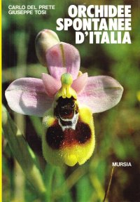 Orchidee spontanee d'Italia