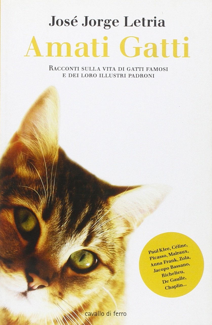 Amati gatti Amati gatti