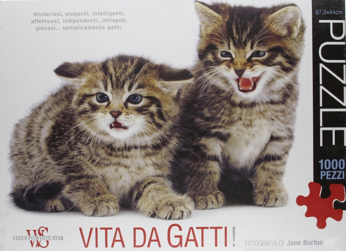 Vita da Gatti. Puzzle Vita da Gatti. Puzzle