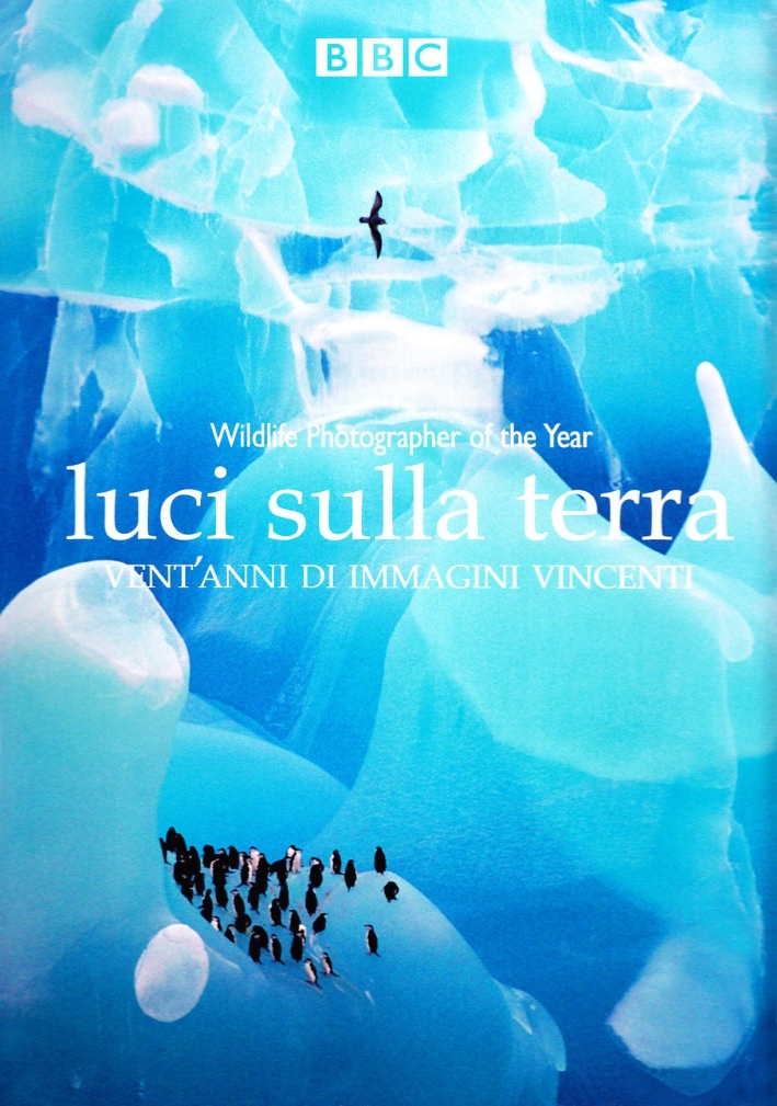 Luci sulla terra. Ediz. illustrata Luci sulla terra. Ediz. illustrata