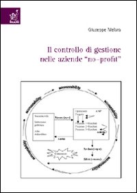 Primo controllo di gestione nelle aziende «no-profit» Primo controllo di gestione nelle aziende «no-profit»