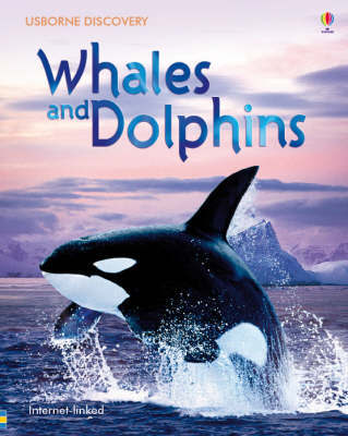 Whales and Dolphins Whales and Dolphins