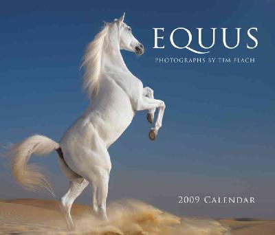 Equus 2009 Wall Calendar Equus 2009 Wall Calendar