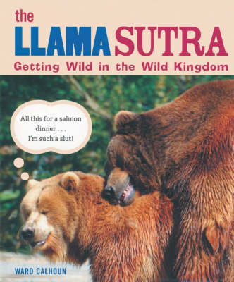 Llama Sutra Llama Sutra