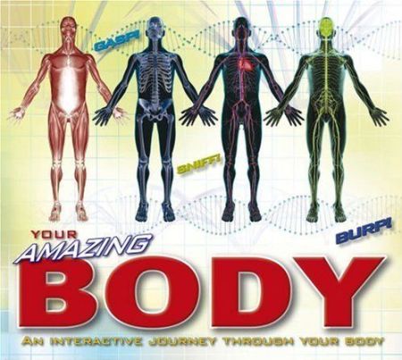 Your Amazing Body Your Amazing Body