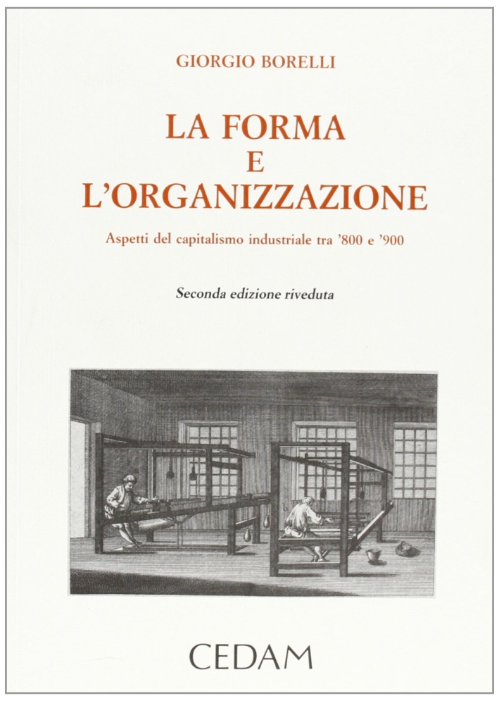 La Forma e l'Organizzazione. Aspetti del Capitalismo Industriale tra '800 e '900 La Forma e l'Organizzazione. Aspetti del Capitalismo Industriale tra '800 e '900