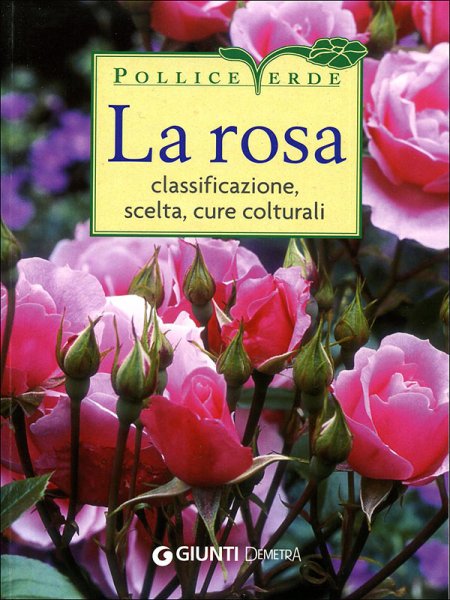 La rosa. Classificazione, scelta, cure colturali La rosa. Classificazione, scelta, cure colturali