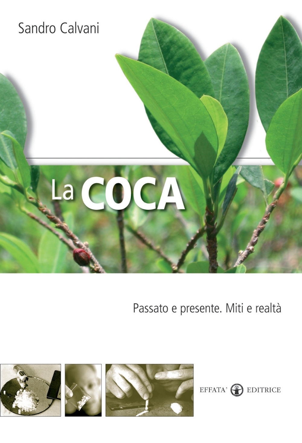 La coca. Passato e presente. Mito e realtà La coca. Passato e presente. Mito e realtà