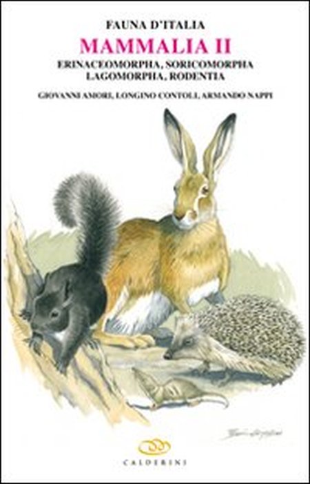 Mammalia II. Erinaceomorpha, soricomorpha, lagomorpha, rodentia Mammalia II. Erinaceomorpha, soricomorpha, lagomorpha, rodentia