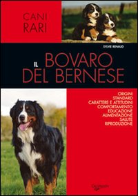 Bovaro bernese Bovaro bernese