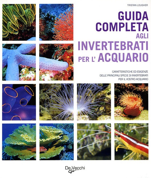Guida completa agli invertebrati per l'acquario Guida completa agli invertebrati per l'acquario