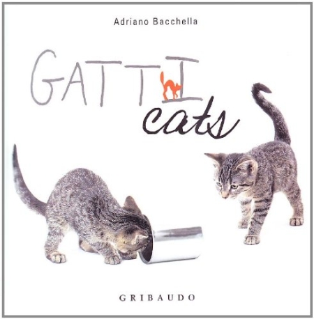 Gatt-Cats. Ediz. bilingue Gatt-Cats. Ediz. bilingue