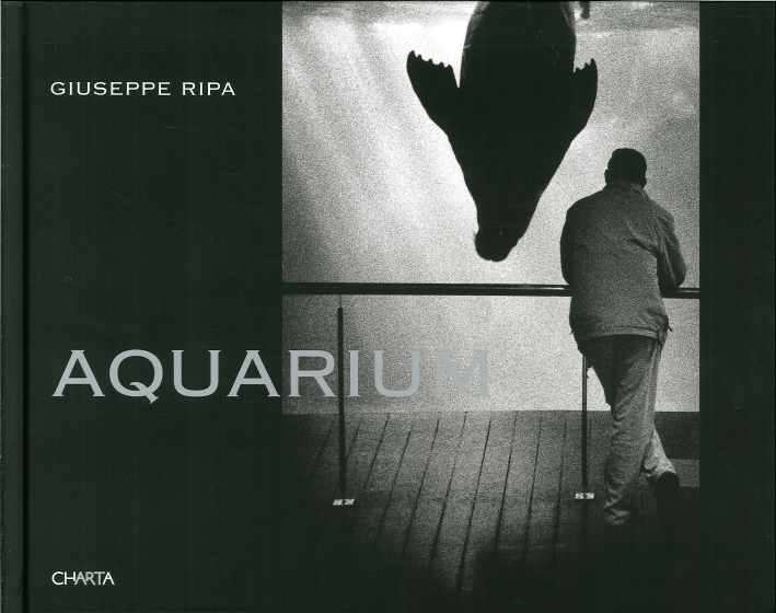 Giuseppe Ripa. Aquarium Giuseppe Ripa. Aquarium