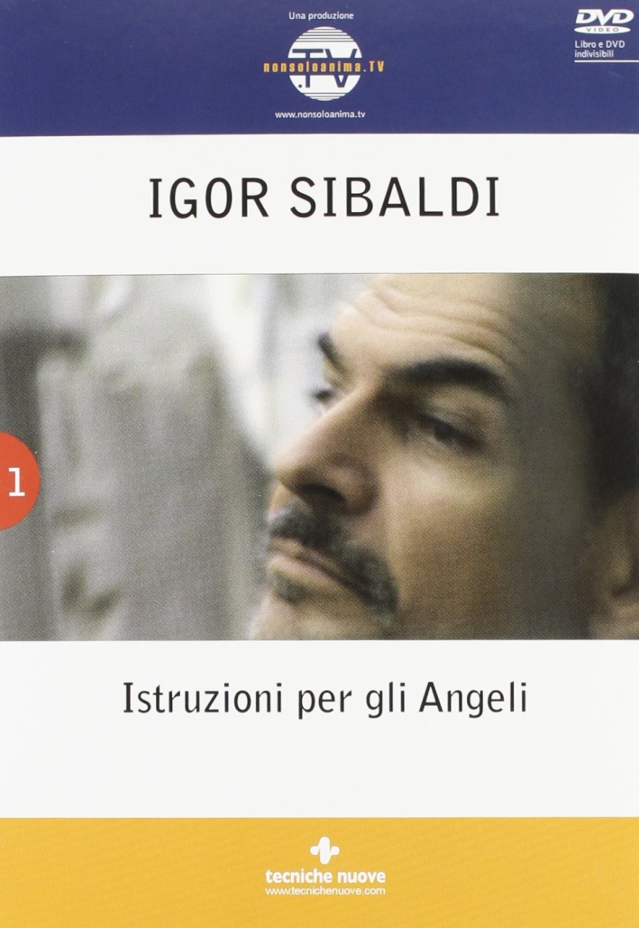 Istruzioni per gli angeli. Con DVD Istruzioni per gli angeli. Con DVD