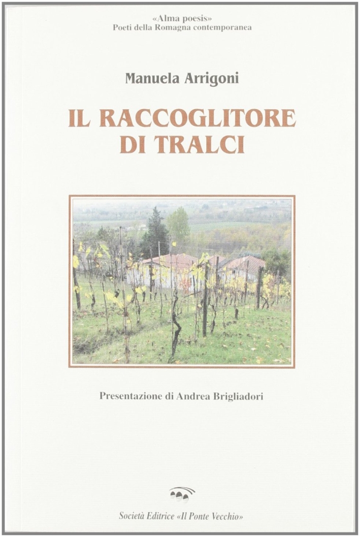 Il raccoglitore di tralci Il raccoglitore di tralci