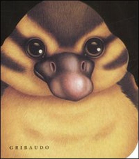 L'Anatroccolo L'Anatroccolo
