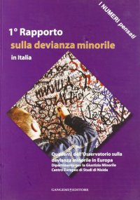 I numeri pensati. 1° Rapporto sulla devianza minorile in Italia