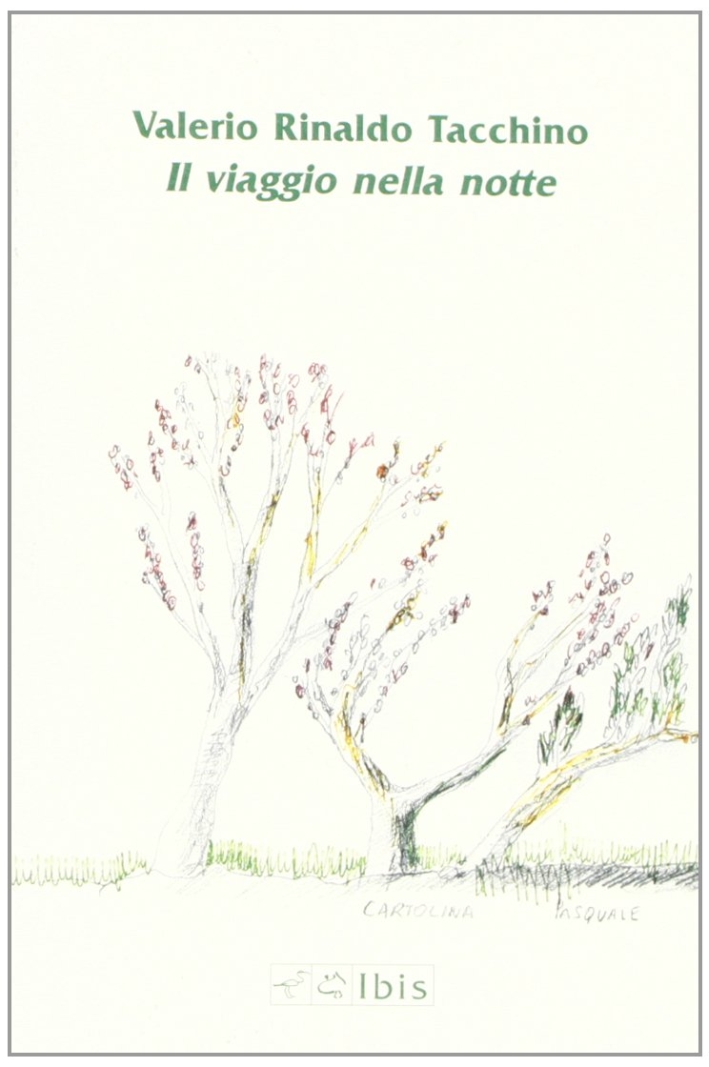 Il viaggio nella notte Il viaggio nella notte