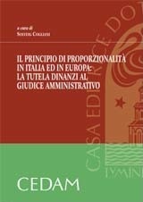 Il principio di proporzionalità in Italia ed in Europa: la tutela davanti al giudice amministrativo Il principio di proporzionalità in Italia ed in Europa: la tutela davanti al giudice amministrativo