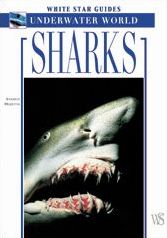 Sharks Sharks