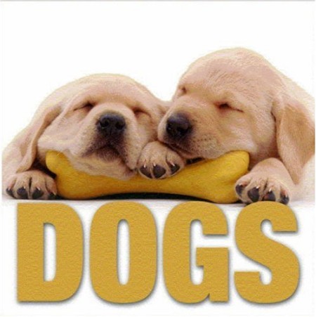 Dogs. Ediz. illustrata Dogs. Ediz. illustrata
