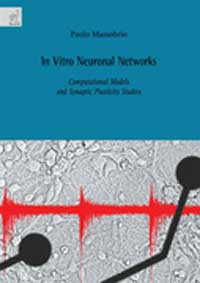 In Vitro Neuronal Networks. Computational Models and Synaptic Plasticity Studies In Vitro Neuronal Networks. Computational Models and Synaptic Plasticity Studies