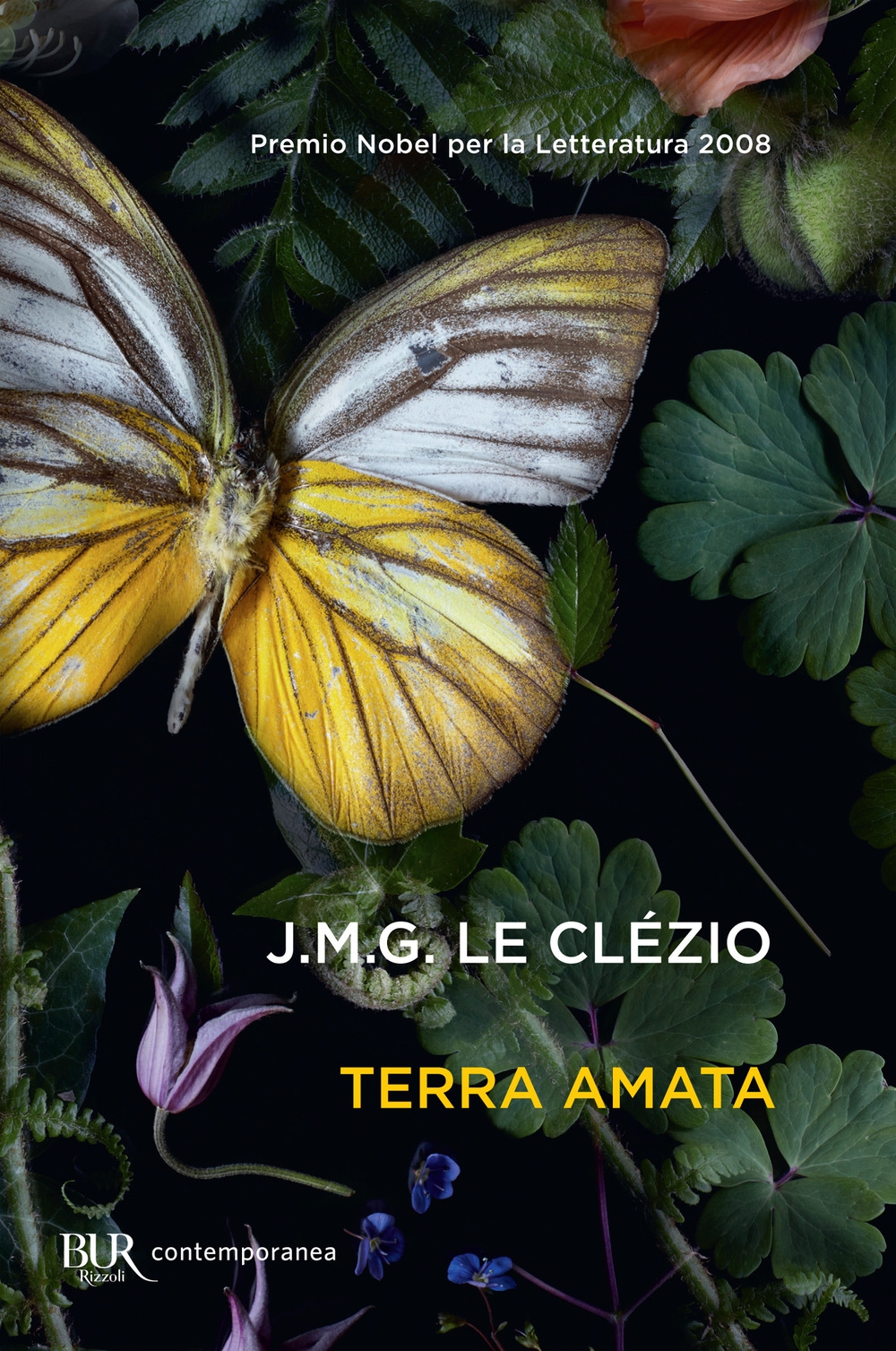Terra amata Terra amata