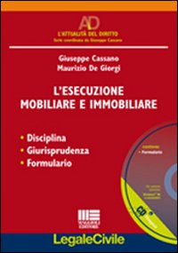 L'esecuzione mobiliare e immobiliare L'esecuzione mobiliare e immobiliare
