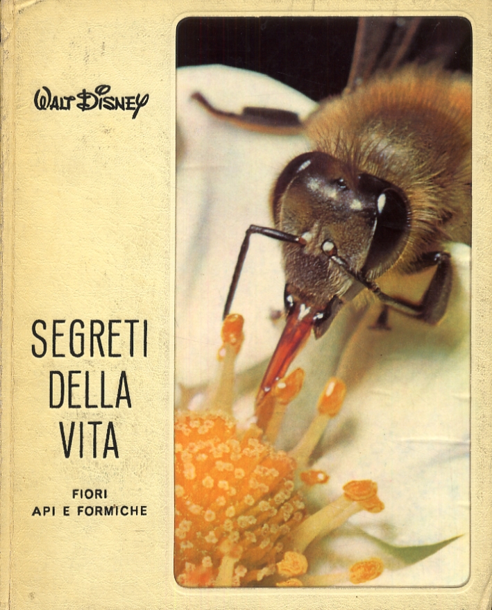 Segreti della vita. Fiori, api e formiche. Segreti della vita. Fiori, api e formiche.