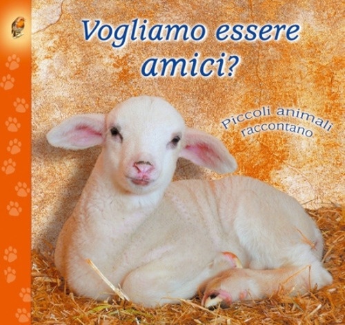 Vogliamo essere amici? Piccoli animali raccontano. Vogliamo essere amici? Piccoli animali raccontano.