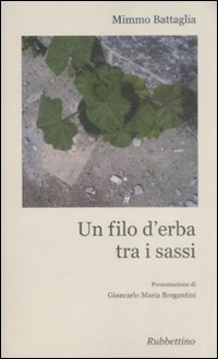 Un filo d'erba tra i sassi Un filo d'erba tra i sassi