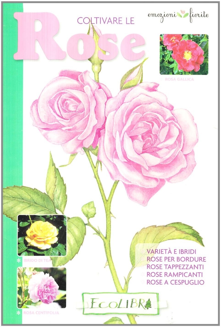 Coltivare le rose Coltivare le rose