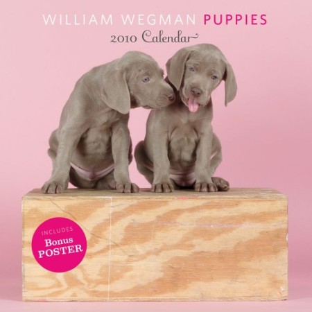 William Wegman Puppies 2010 Wall Calendar William Wegman Puppies 2010 Wall Calendar