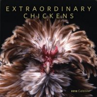 Extraordinary Chickens 2010 Wall Calendar